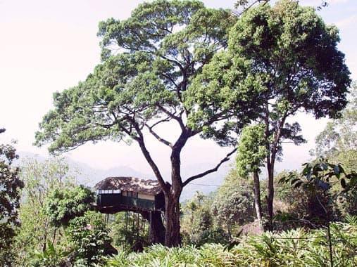 Муннар: Munnar Inn