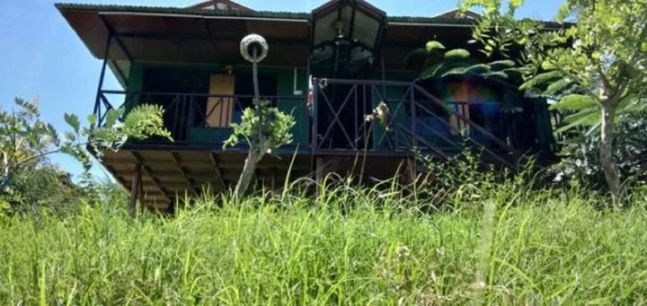 Ути: Mist Valley Resorts