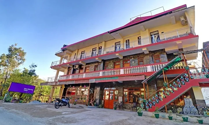 Татапани: Hotel New Spring View