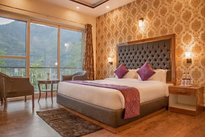 Татапани: Hotel New Spring View
