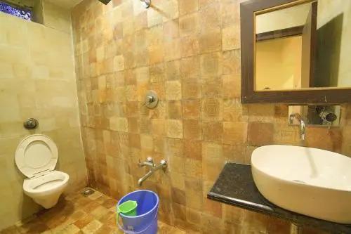 Гора Абу: Hotel New Mamta