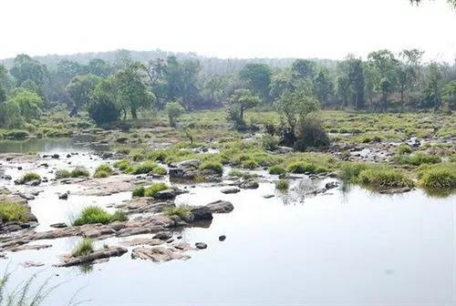 Сунтикоппа: Coorg River View Resort