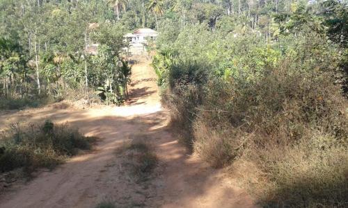 Кушалнагар: The Misty Guest House in Coorg