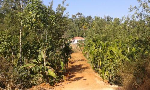 Кушалнагар: The Misty Guest House in Coorg