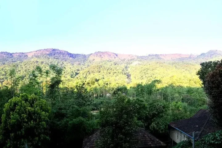 Кушалнагар: Prashanti Resort
