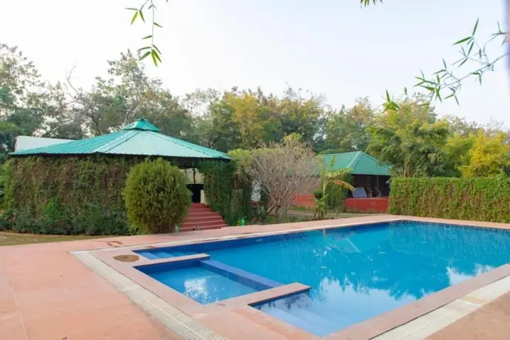Савай-Мадхопур: Jungle View Resort