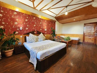 Шимла: Hotel Pineview Shimla
