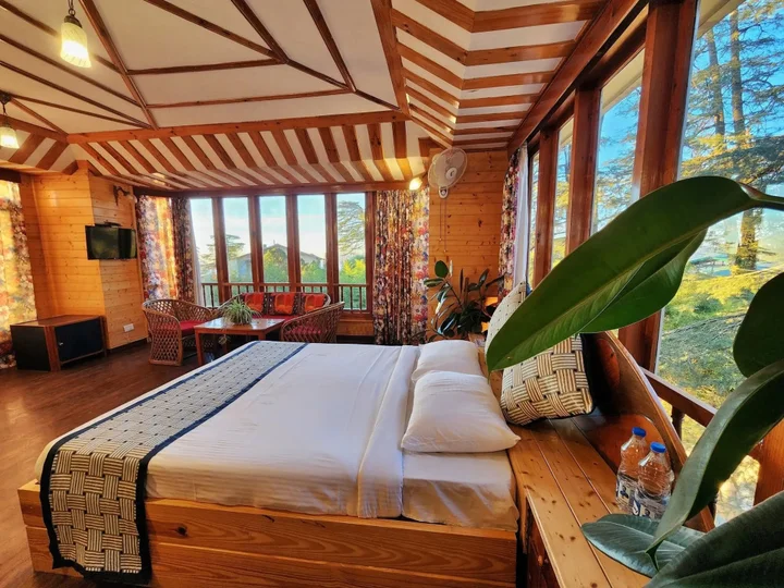 Шимла: Hotel Pineview Shimla