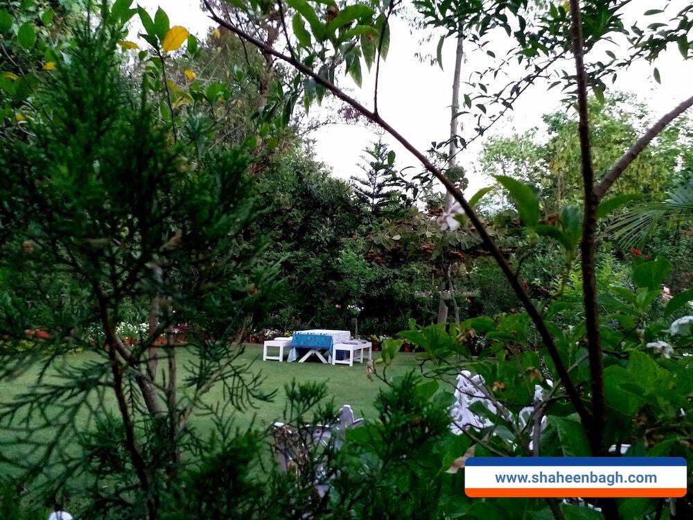 Массури: Shaheen Bagh - A Luxury Resort & Spa