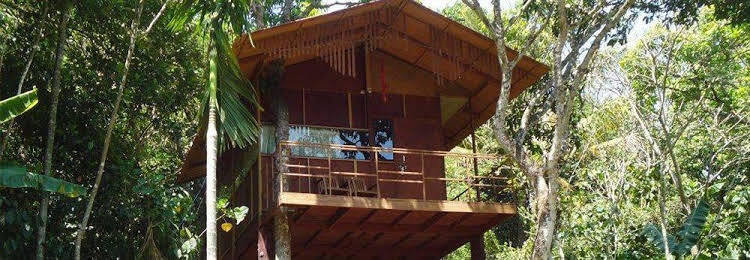 Рамаккалмеду: Windhaven Resort - 40 Mins From Thekkady