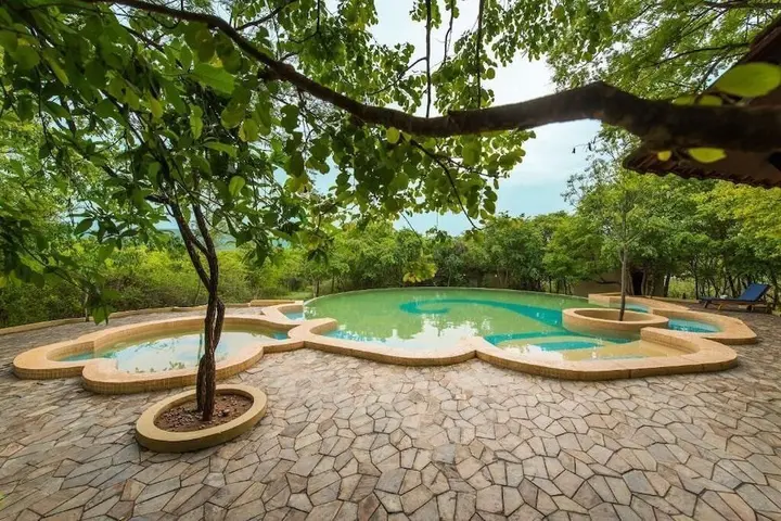 Бандипур: The Windflower Jungle Resorts and Spa