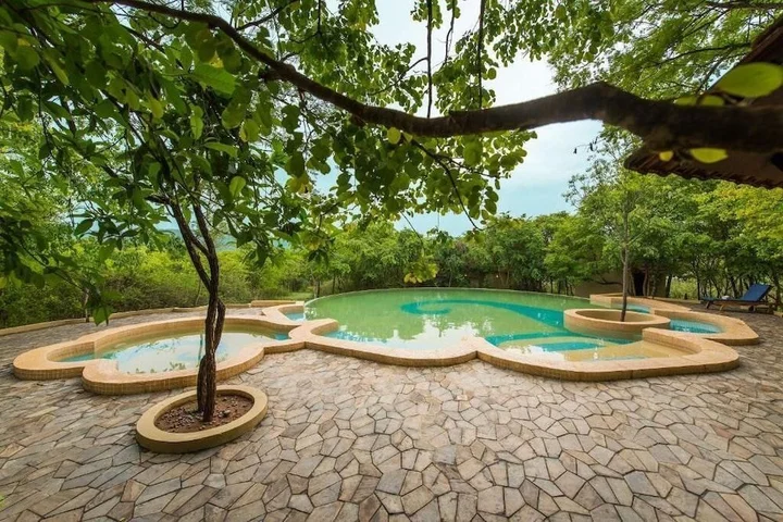 Бандипур: The Windflower Jungle Resorts and Spa