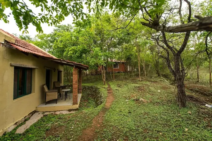 Бандипур: The Windflower Jungle Resorts and Spa
