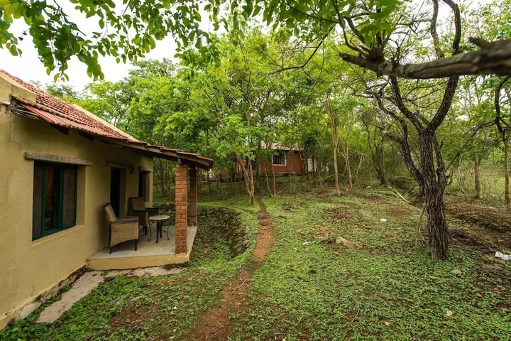 Бандипур: The Windflower Jungle Resorts and Spa