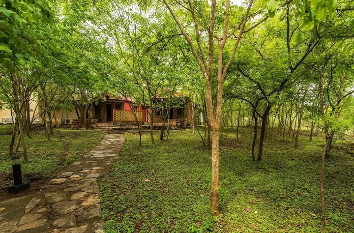 Бандипур: The Windflower Jungle Resorts and Spa