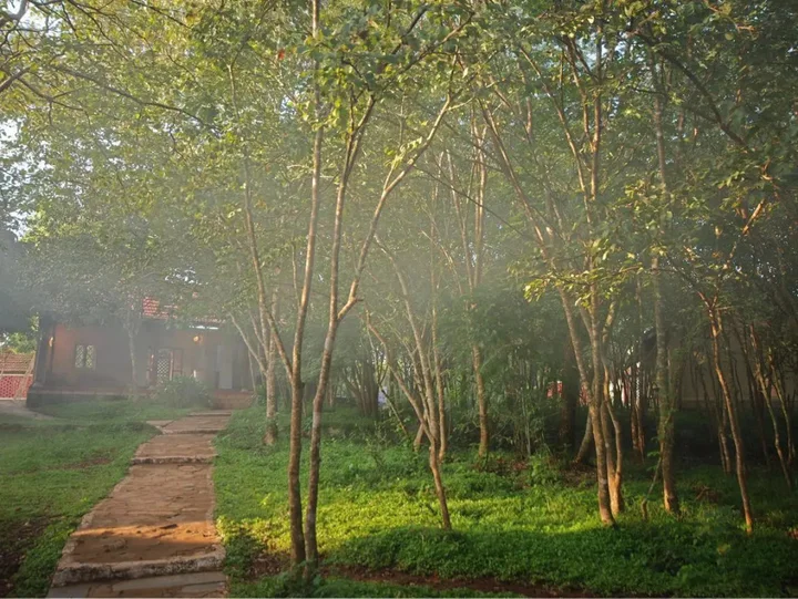 Бандипур: The Windflower Jungle Resorts and Spa