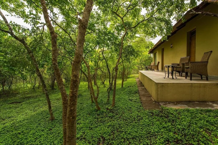 Бандипур: The Windflower Jungle Resorts and Spa