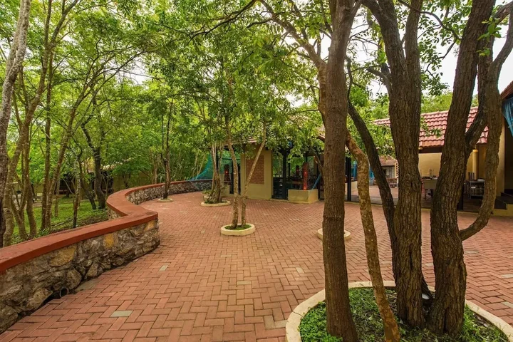 Бандипур: The Windflower Jungle Resorts and Spa