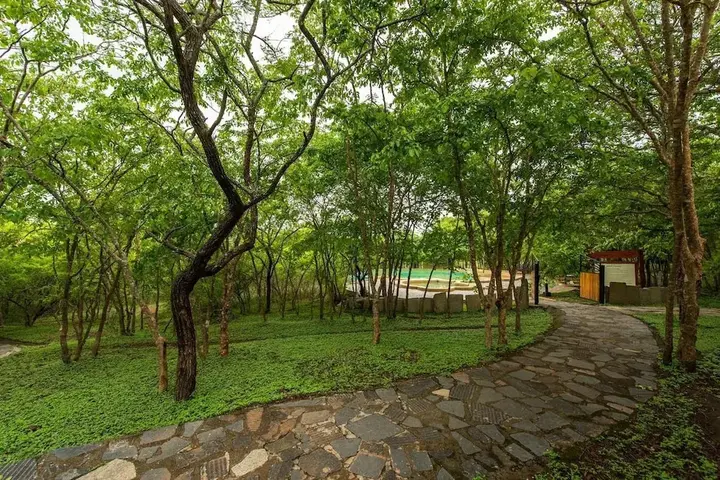 Бандипур: The Windflower Jungle Resorts and Spa