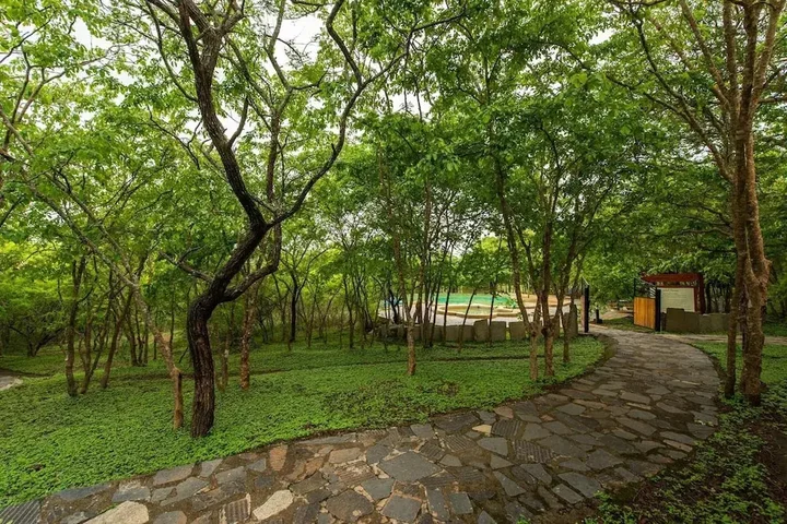 Бандипур: The Windflower Jungle Resorts and Spa