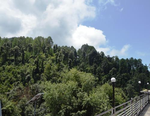carousel image 4