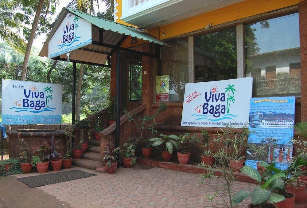 Калангут: Hotel Viva Baga
