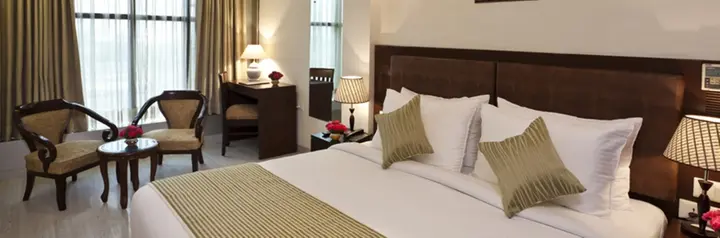 Нью-Дели: Hotel Delhi Airport
