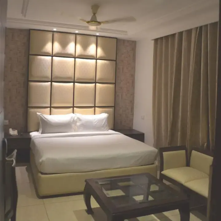 Лудхиана: Hotel Riyasat