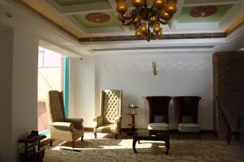 Лудхиана: Hotel Riyasat