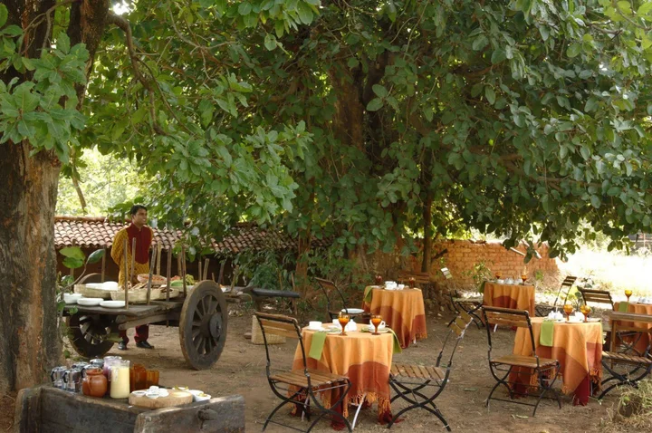 Панпата: Mahua Kothi, Bandhavgarh National Park