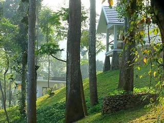 Куттикканам: Amaana Plantations Resort