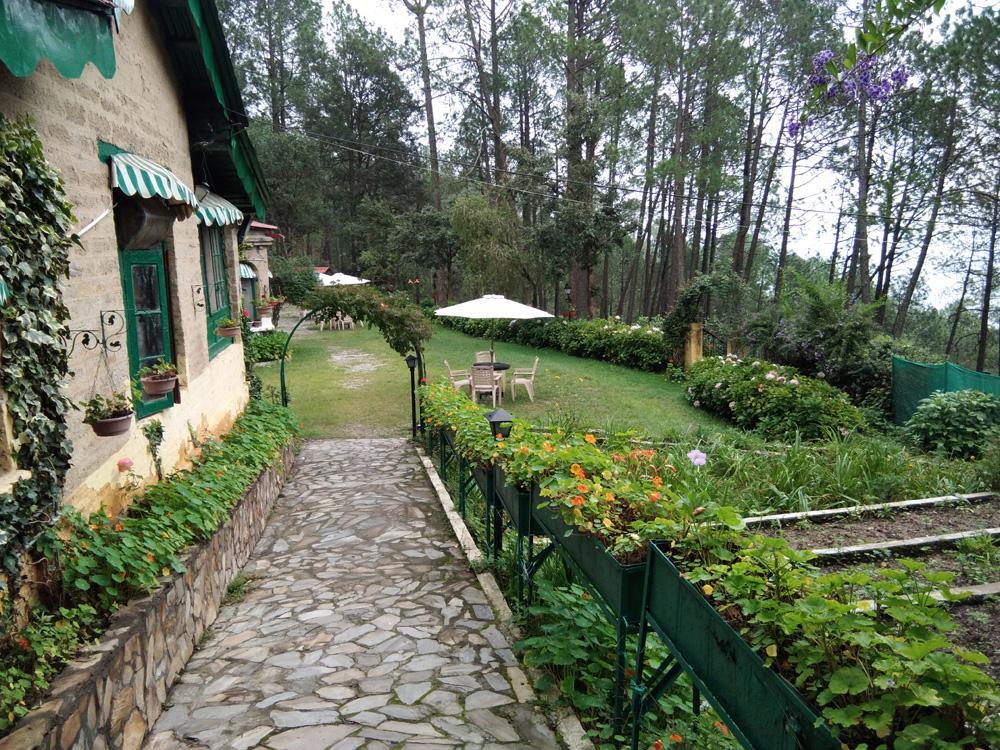 Раникхет: West View Hotel
