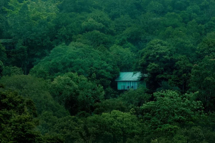 Султан-Батери: Wayanad Wild Rainforest lodge by CGH Earth