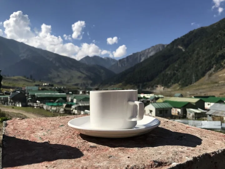 Пахалгам: Hotel Glacier Heights