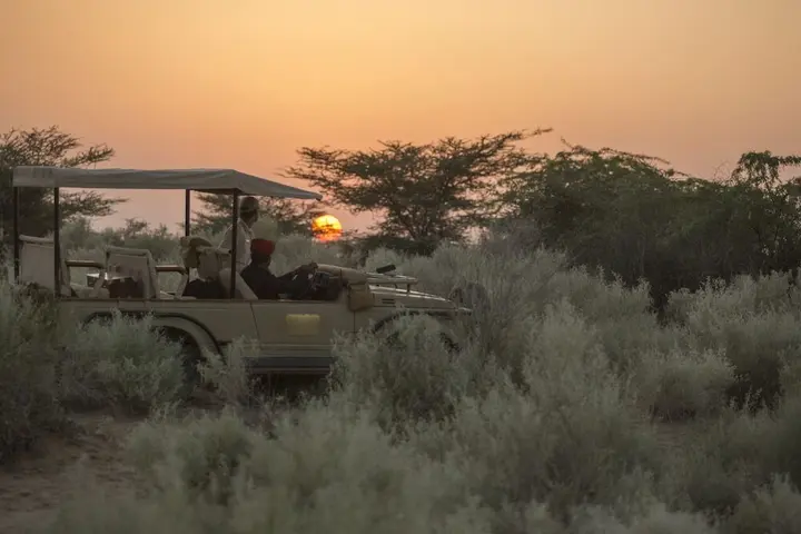Джайсалмер: Sujan The Serai, Jaisalmer