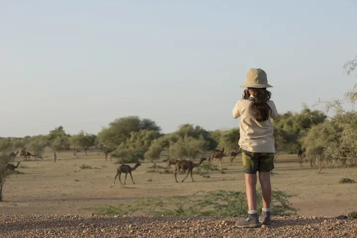 Джайсалмер: Sujan The Serai, Jaisalmer