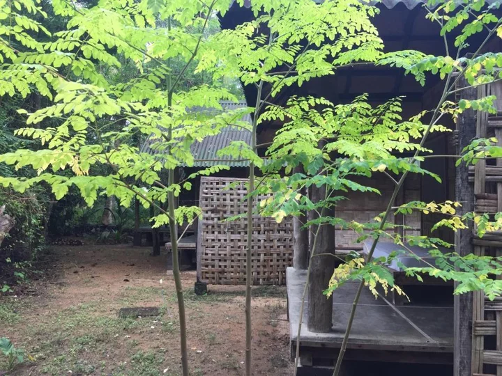 Остров Swaraj Dweep: Emerald Gecko Resort-Neil Island