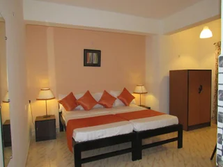 Южный Гоа: TGF Dream Guest House