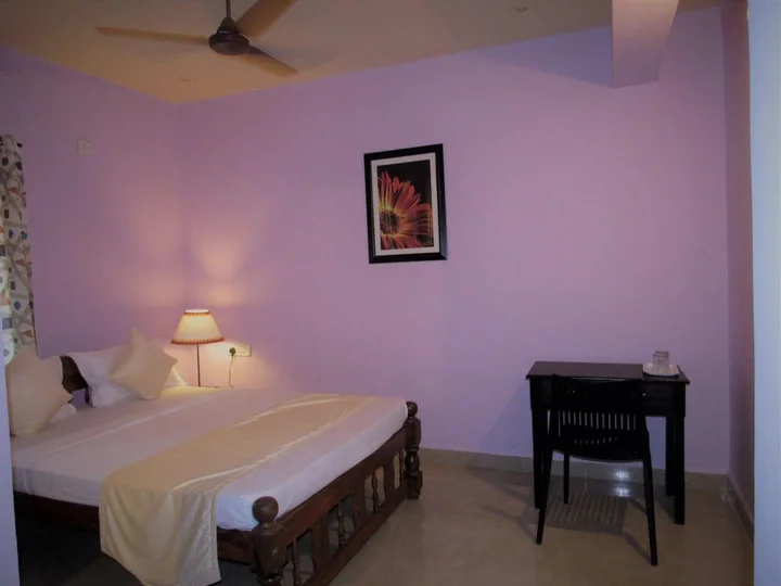 Южный Гоа: TGF Dream Guest House