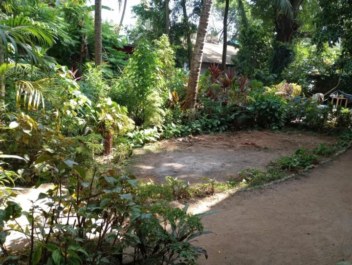 Калангут: Calangute Beach Guest House