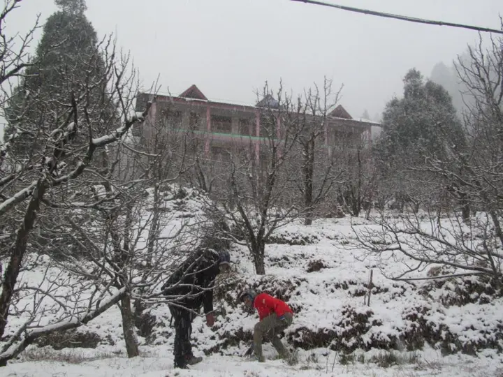 Манали: Manali top Inn & Cafe