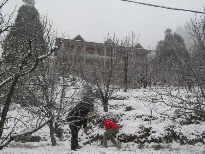 Манали: Manali top Inn & Cafe
