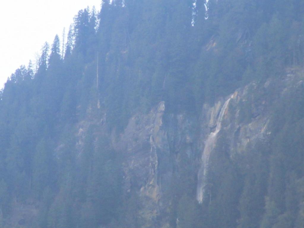Манали: Manali top Inn & Cafe