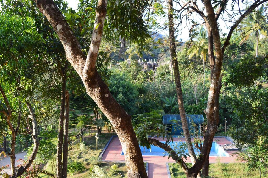 Aruvi resort Munnar — фото 5