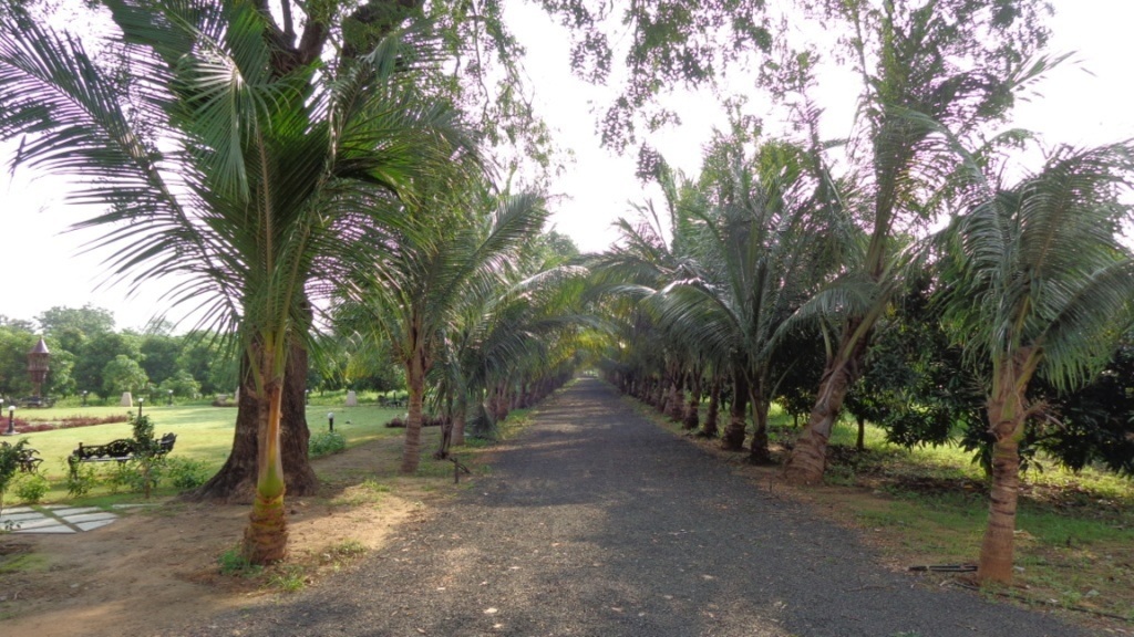Павагадх: Champaner Heritage Resort