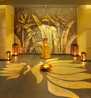 Джамму: Radisson Blu Jammu