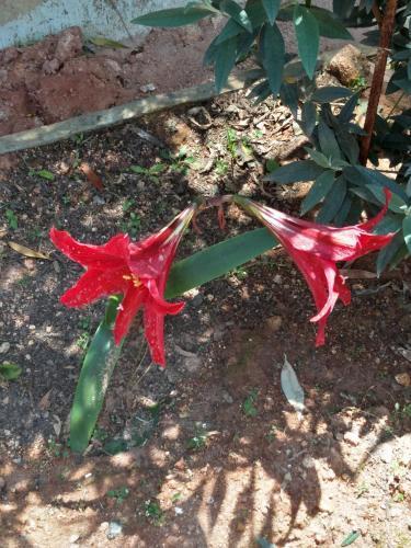Ути: Hotel The Great Escape