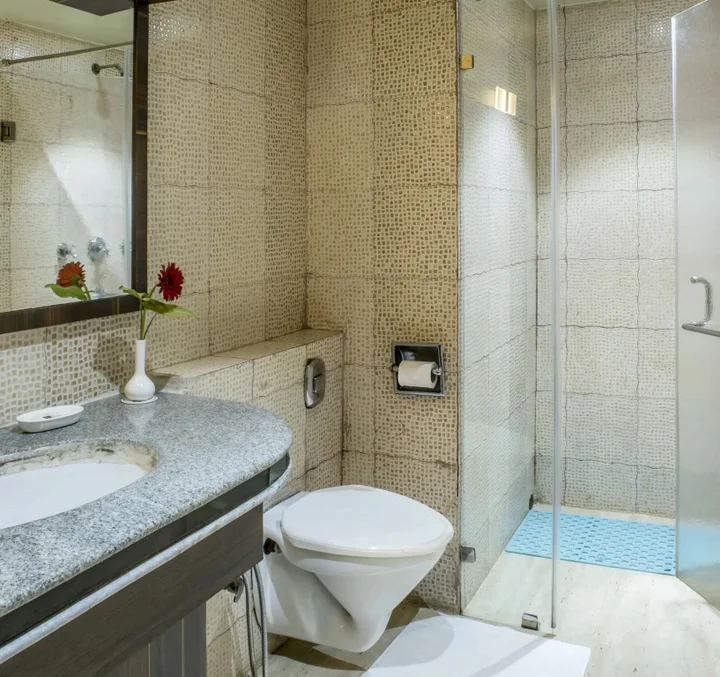 Дургапур: The Citi Residenci Hotel - Durgapur