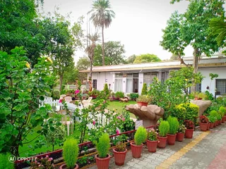 Гора Абу: Toppers corner-A Boutique Garden Resort