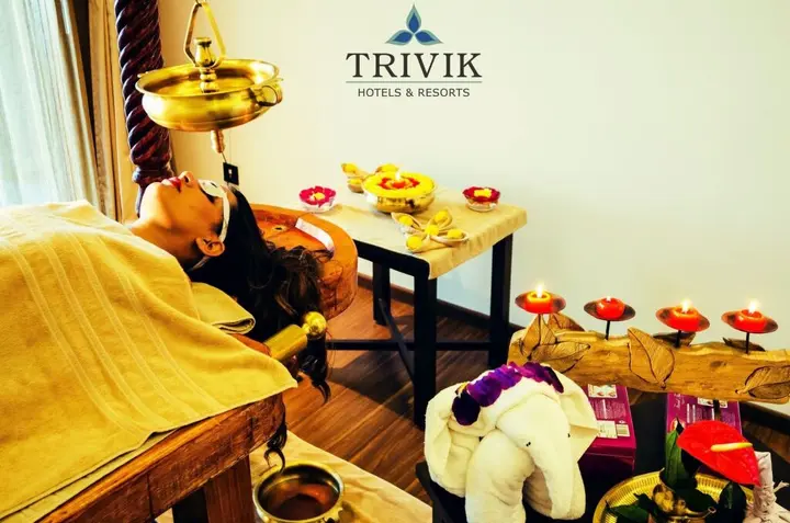 Чаннагонданахолли: Trivik Hotels & Resorts, Chikmagalur